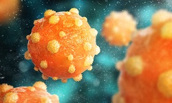 Hepatitis A virus